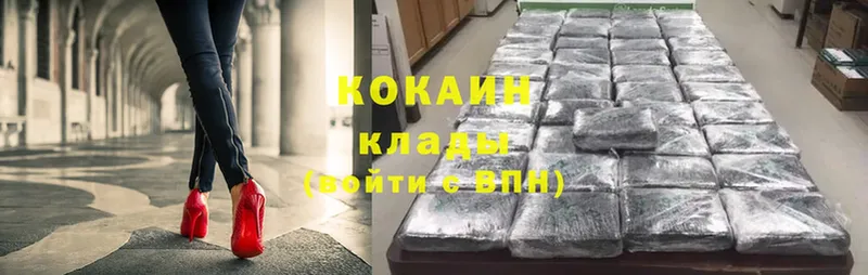 shop как зайти  Верхняя Пышма  COCAIN Fish Scale  как найти закладки 